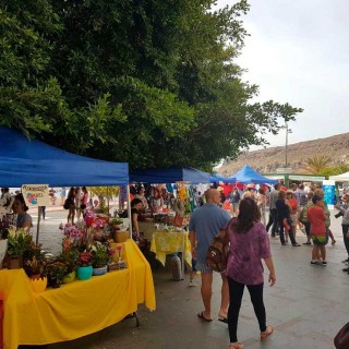 Diversas actividades durante la Semana Santa en el municipio de Alajeró